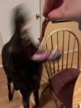 1746350892469402