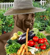 Farmer