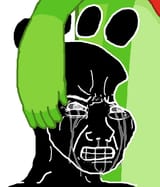 KRASHED.COM