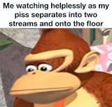 1753817452580576