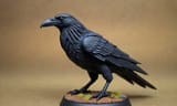 crow