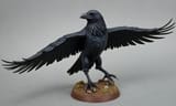 crow