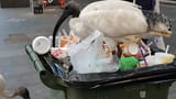 binchicken