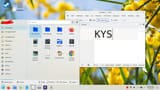 Plasma 6
