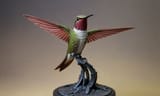 hummingbird