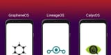 Lineage-calyx-graphene-2411370862