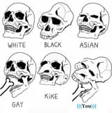 1730162828084842