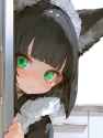 nijivideo__be9a3d4a7a32b7925e1eaeb8d15fe12c_thumb.jpg