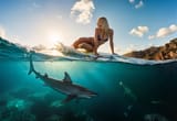 shark_