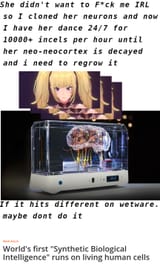 first-their-sexbots-then-they-destroy-you
