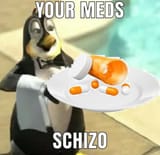 29527646