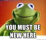 you must be new here