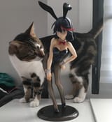 chadcat