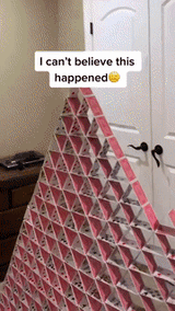 1741198723440516