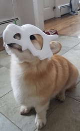 a_baby_cubone