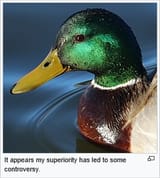 1752704921701
