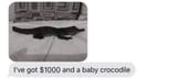Croc