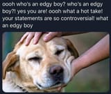 edgyboy