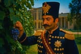 20250716_1714_Naser Al-Din Harvesting Grapes_remix_01k0ahbd4yf3nae1cqk40e30r4