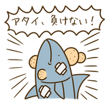 bonito endurance