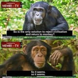 monke
