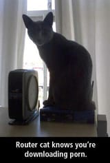router cat