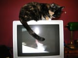 DSCF1149_smol