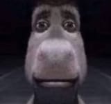 1692790751503861