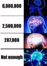 6M