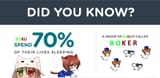 boku-facts