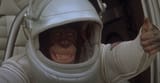 spacemonkey