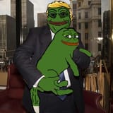 znxnxnzk