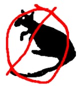 Ratpoison