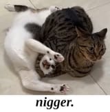 kotjutsu
