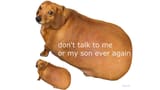 donttalktome