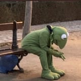 Kermitdepressed