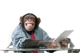 office-chimp