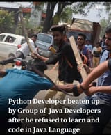 brahmin behavior