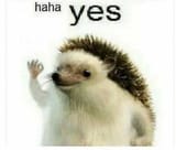 yes-meme-18-2925174099