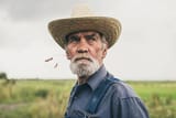 farmer_chewing_words