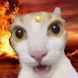 1724737316680501