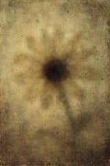 20250721_1448_Faded Damaged Flower_simple_compose_01k0q8e13hea9bfb1tymxrfk2y