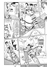 TIGER ATTACK