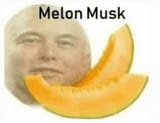 melon-musk