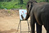 elephant painting