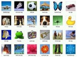 Screenshot_20250722_174103