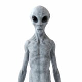 illustration-of-a-humanoid-alien