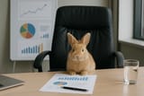 20250722_1123_Office Bunny Takeover_simple_compose_01k0sf2bs8emwtr26j6jr562qn