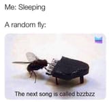 funny-meme-about-how-flies-mess-up-your-sleeping