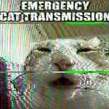 ECT
